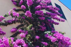 20180714_154200